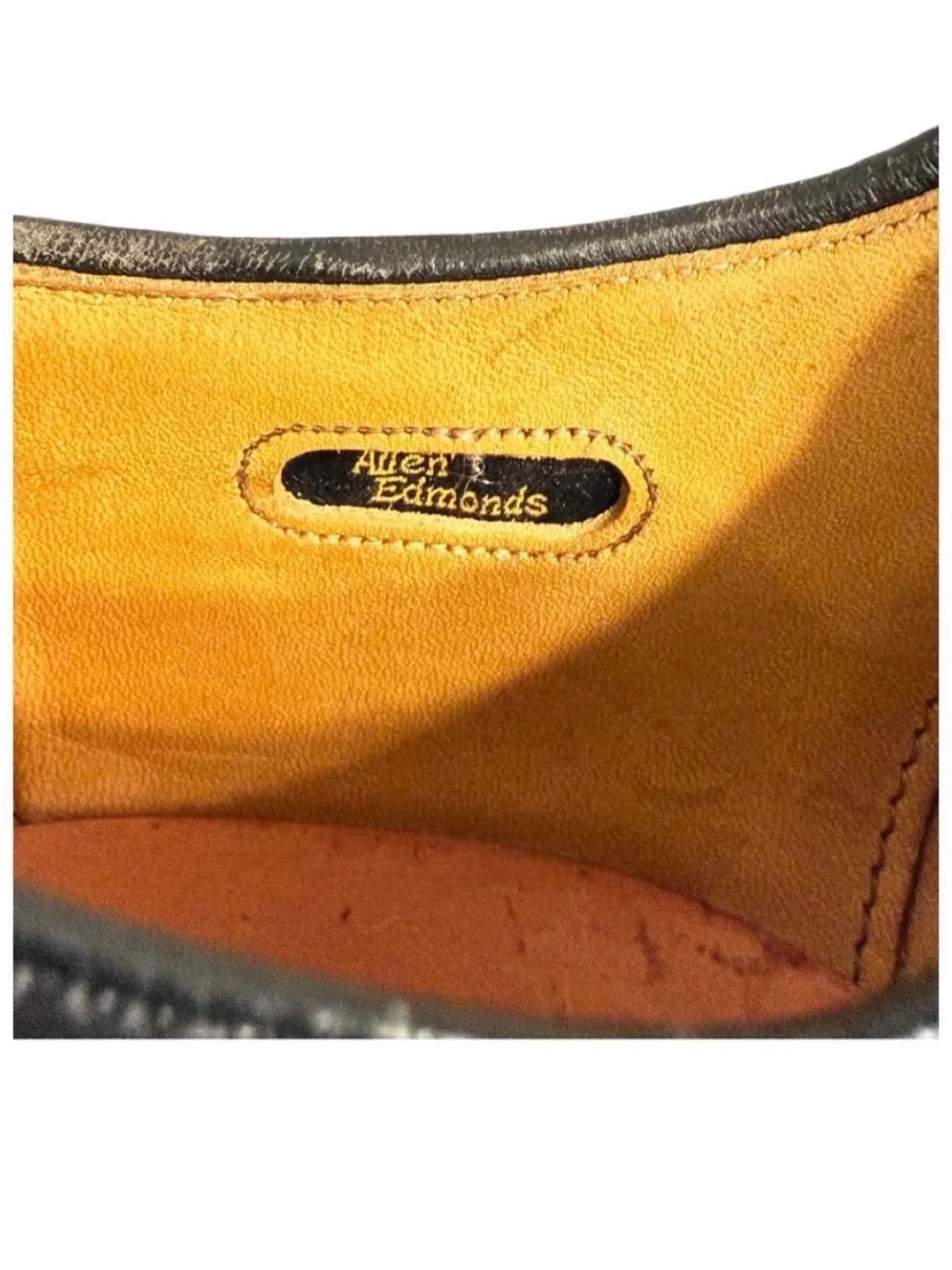 Allen Edmonds classic wingtip